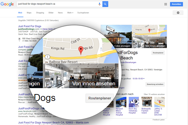 Google Suche Integration